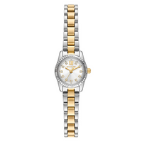 Michael Kors Lexington Silver Micro Petite Women's Watch MK4903
