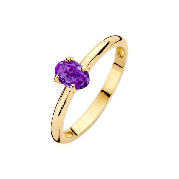 Ring met Amethyst steen 14k goud