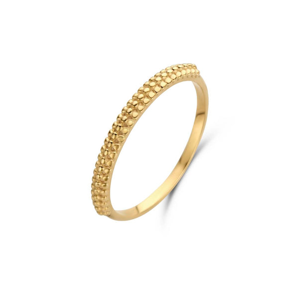 Maiori Zip ring - 14 karaat goud