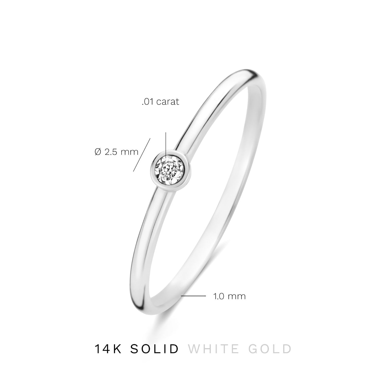 Isabel Bernard De La Paix Inaya 14 Carat Whitegold Ring | diamond 0.01 ct | IBD330026-48