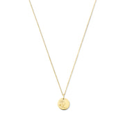 Violet Hamden Venus 925 Sterling Zilveren Gold Plated Ketting met Geboortebloem VH340025-AUG