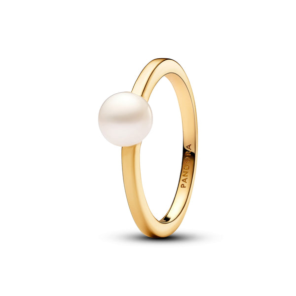 Pandora Timeless Ring Gold Plated 163157C01-52
