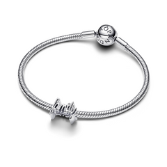 Pandora Moments 925 Sterling Silver Handwritten Family Charm 794250C01