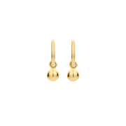 Blush 14 Carat Golden Earrings 9062YGO
