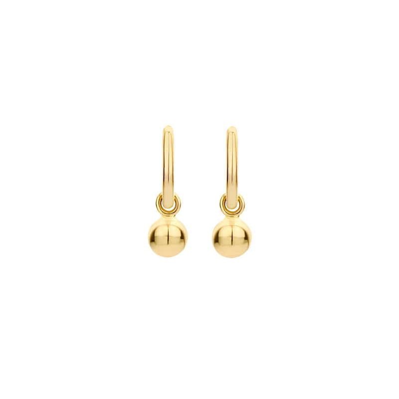 Blush 14 Carat Golden Earrings 9062YGO-zoom-