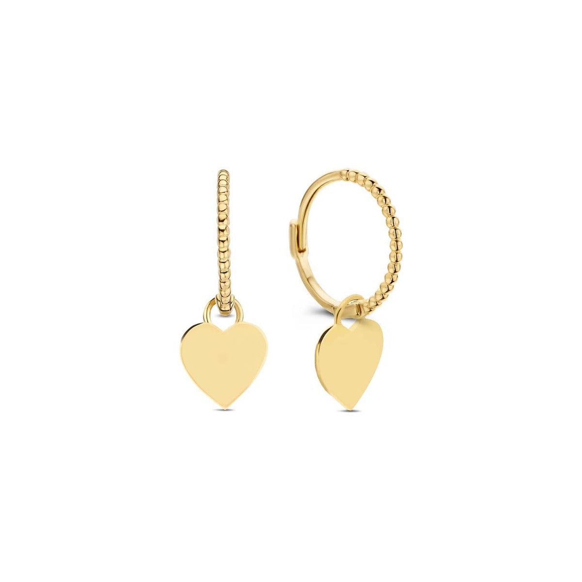 Jackie Gold 14 karat gold Hoop Earrings JKE23.314