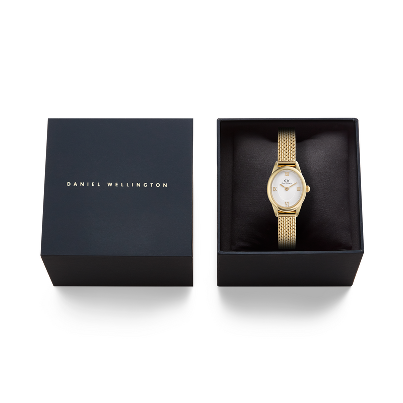 Daniel Wellington Ophelia Mini Mesh Witte Goudkleurige Dameshorloge DW00100939-zoom-