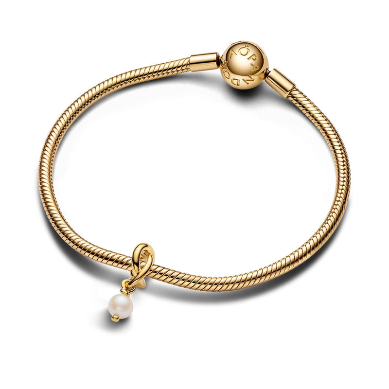 Pandora Moments 14 Karat Gold Plated Charm 763462C06-zoom-