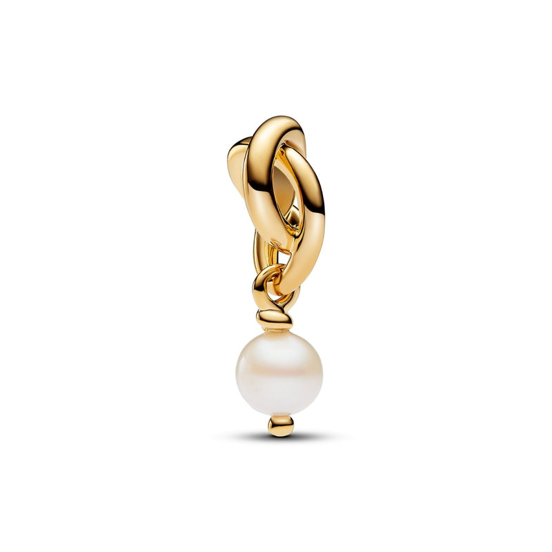 Pandora Moments 14 Karat Gold Plated Charm 763462C06-zoom-