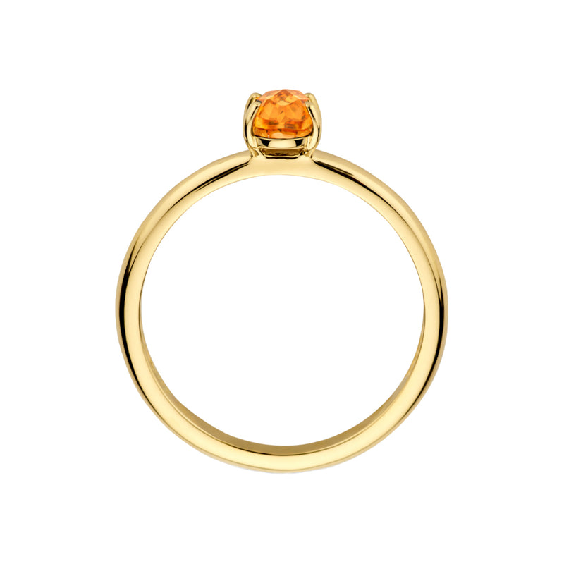 Blush 14 Karaat Gouden Ring 1242YCI/58-zoom-