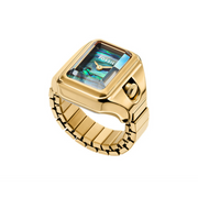 Fossil Raquel Goud en Zwarte Parelmoer Damesringhorloge ES5411