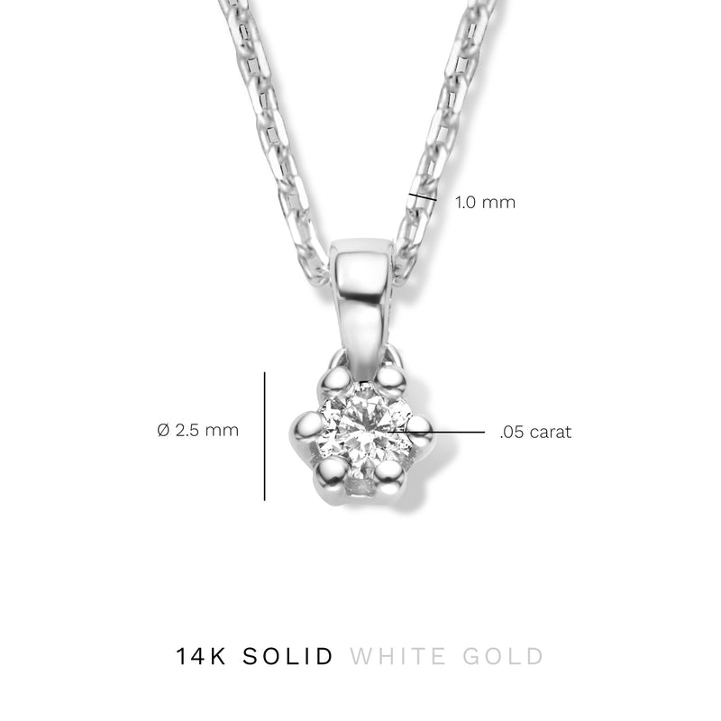 Isabel Bernard De la Paix Emily 14 karaat witgouden collier | diamant 0.05 ct | IBD350014-zoom-