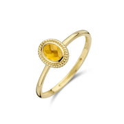 Blush 14 Karaat Gouden Ring 1239YMC/56