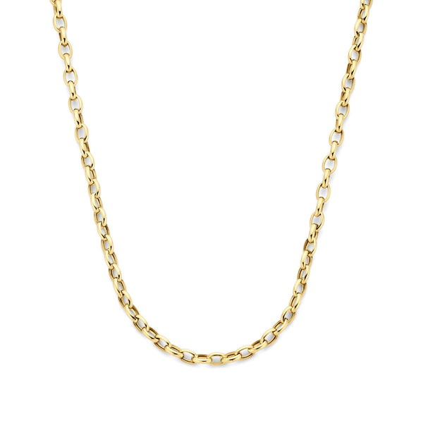Isabel Bernard Aidee Camille 14 Karaat Gouden Schakelketting IB340159