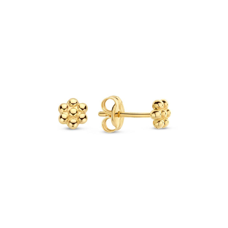 Jackie Gold 14K Golden Ear Studs JKE23.307-zoom-