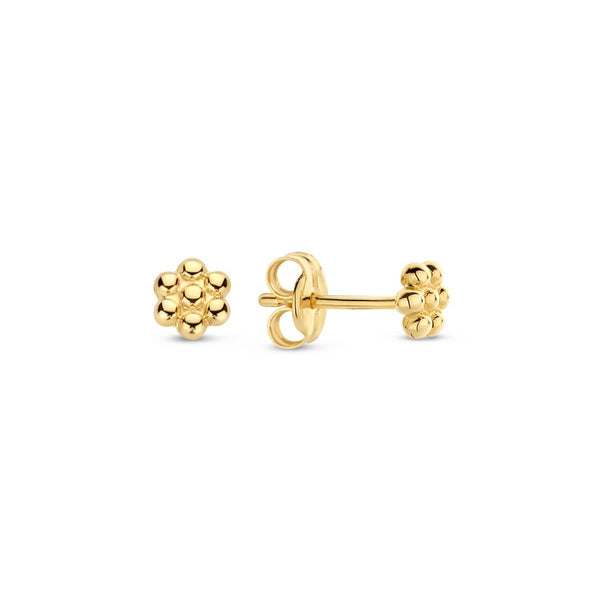Jackie Gold 14K Golden Ear Studs JKE23.307