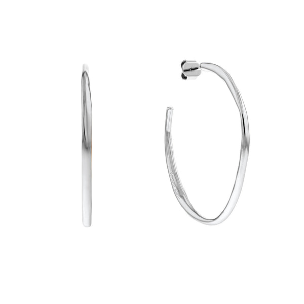 Calvin Klein RVS Oorbellen 2002-CJ35000113
