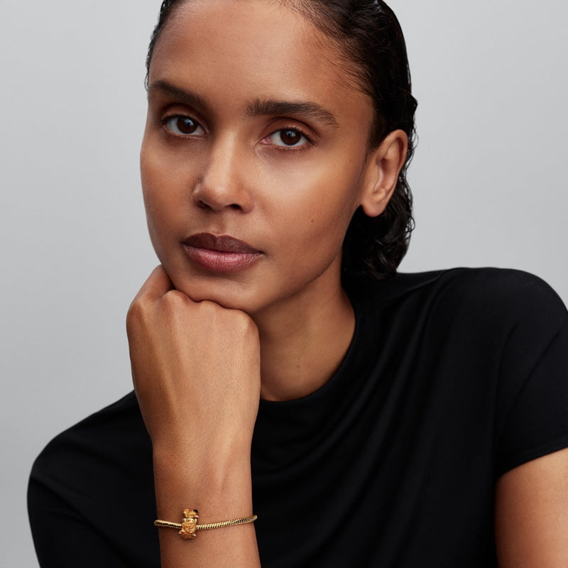 Pandora Disney Pixar Up Dug Bedel 764472C01-zoom-