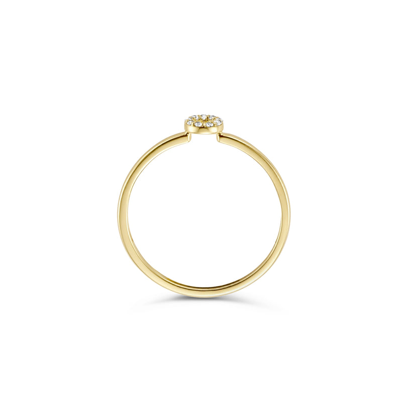 Blush 14 Karaat Gouden Ring 1217YZI/56-zoom-