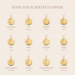 Violet Hamden Venus 925 Sterling Silver Gold-coloured Necklace with Birthflower VH340025-DEC