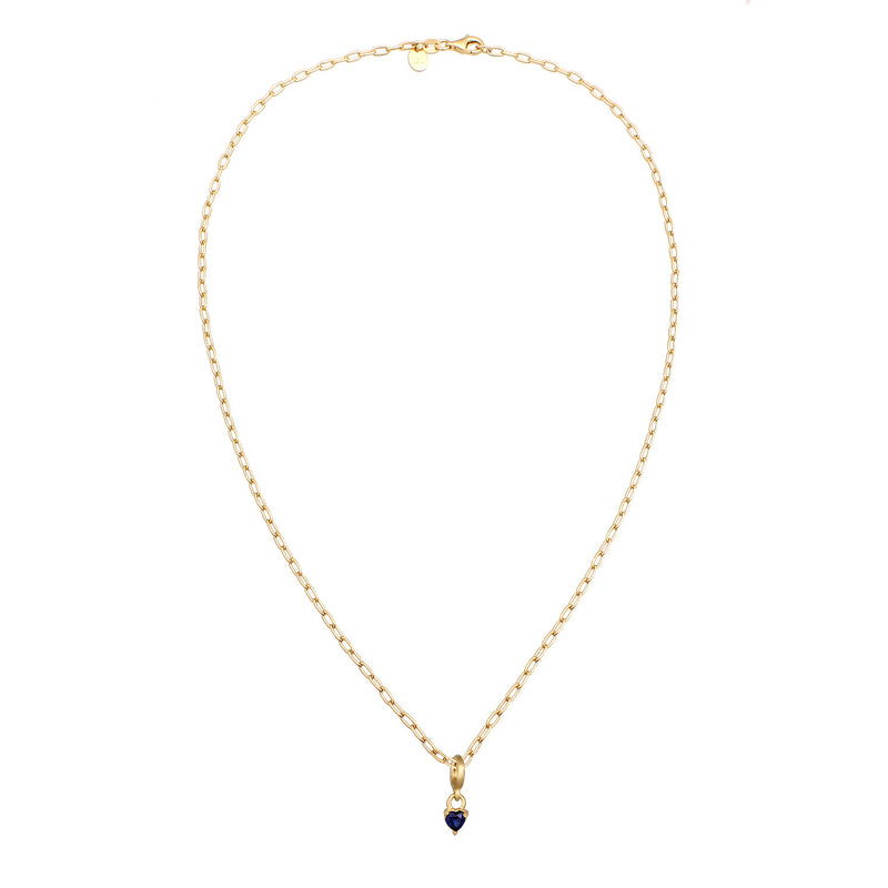 Elli 925 Sterling Silver Necklace with Sapphire 2004-BF-0008263-001-zoom-