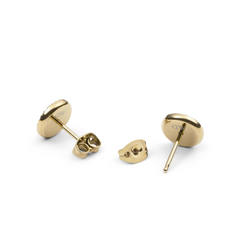 Daniel Wellington Audrey Tiger Eye Earrings DW00401409