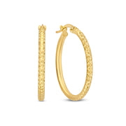 Isabel Bernard Rivoli Laura 14 karaat gouden oorringen IB360161
