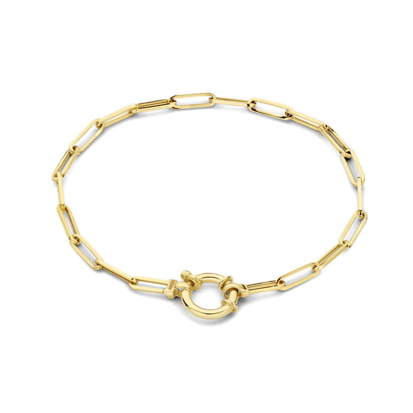 Aidee Odile 14 karaat gouden schakelarmband