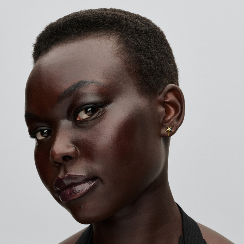 Pandora Moments Gold Plated Zeester Oorbellen 263820C01-zoom-