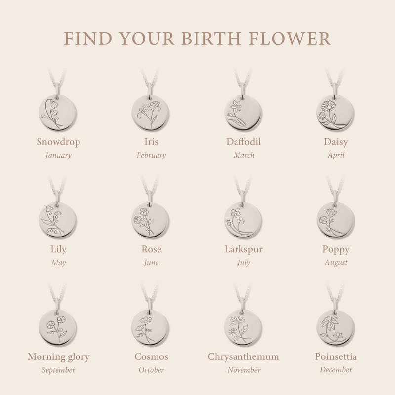 Violet Hamden Venus 925 Sterling Zilveren Ketting met Geboortebloem VH340026-JAN-zoom-