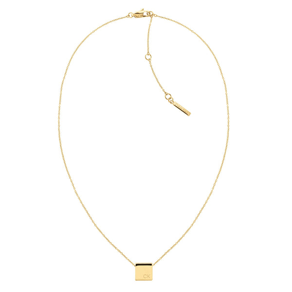 Calvin Klein RVS Ketting 2002-CJ35000248