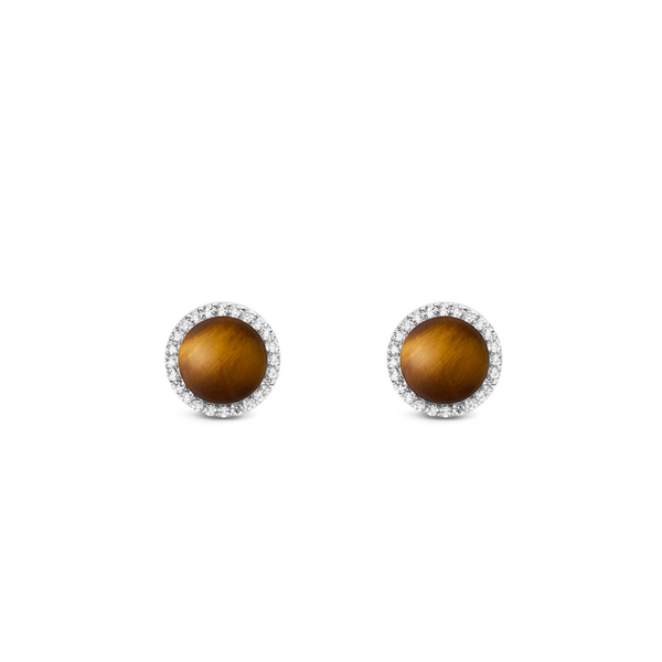 Daniel Wellington Audrey Tiger Eye Oorbellen DW00401421