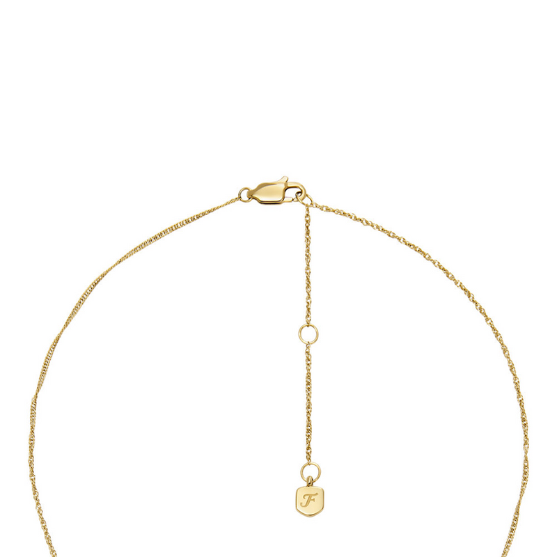 Fossil Sutton Stainless Steel Necklace JF04857710-zoom-