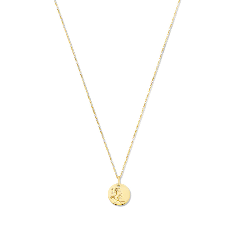 Violet Hamden Venus 925 Sterling Zilveren Gold Plated Ketting met Geboortebloem VH340025-DEC-zoom-
