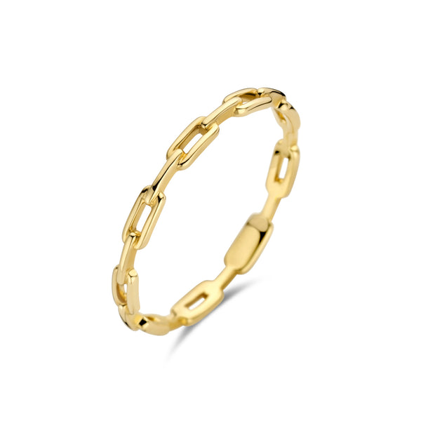 Ring met closed forever-schakels 14k goud