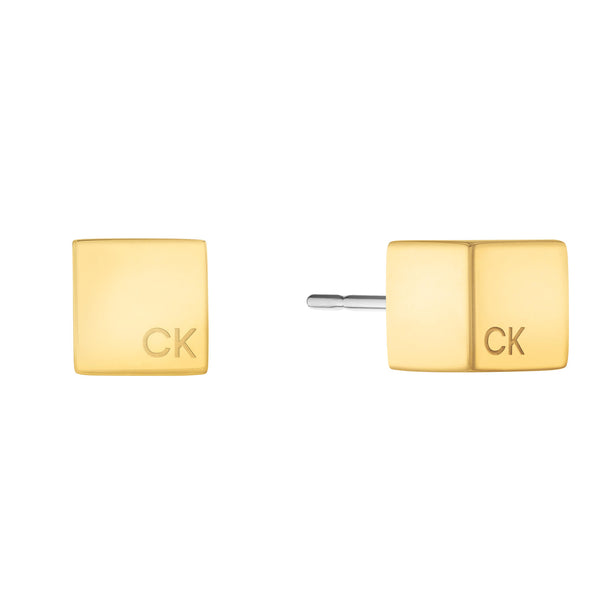 Calvin Klein RVS Oorbellen 2002-CJ35000246