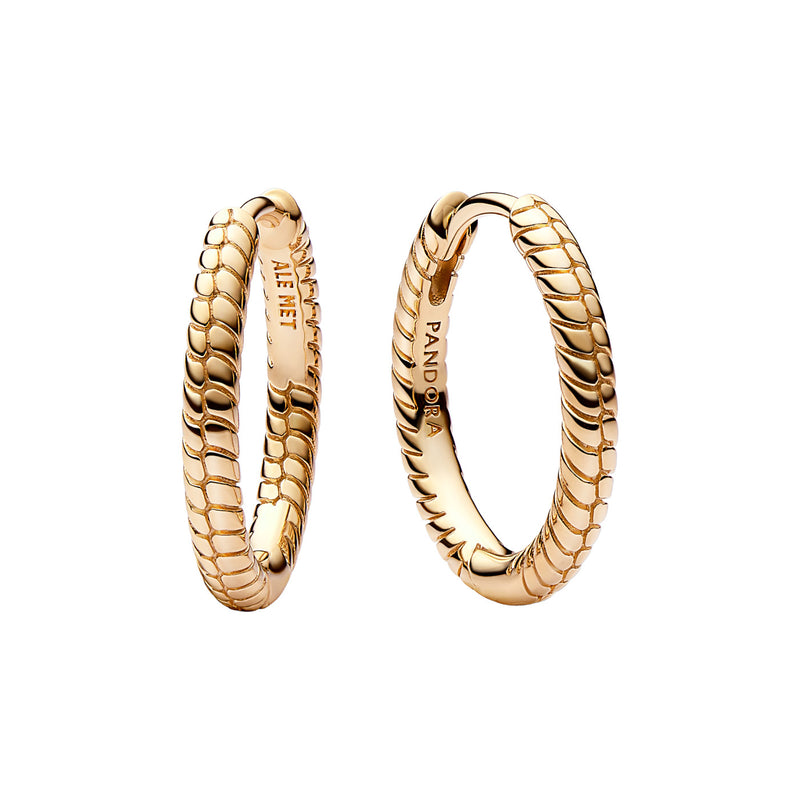 Pandora Moments Earrings 262728C00with14 Carat Gold Plating-zoom-