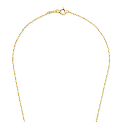 Beloro Jewels Monte Napoleone Valentina 9 karat necklace with zirconia BO340046