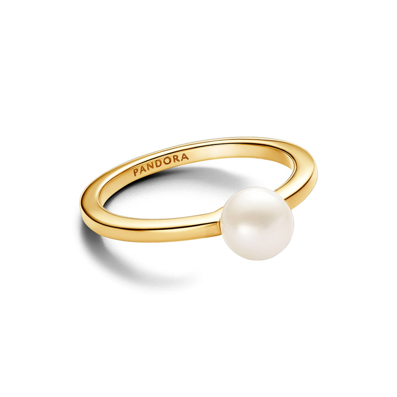 Pandora Timeless Ring Gold Plated 163157C01-52-zoom-