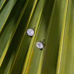 Parte Di Me Ponte Vecchio Dalia 925 sterling Silver Ear Studs PDM36005