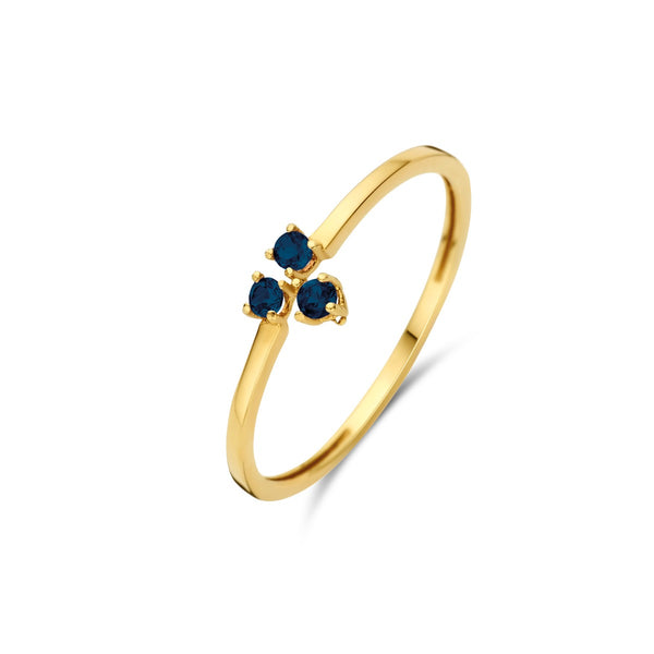 Triangle Sapphire ring - 14 karaat goud