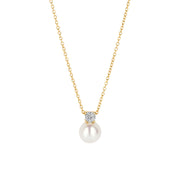 Blush 14 karat gold Necklace 3163YPW