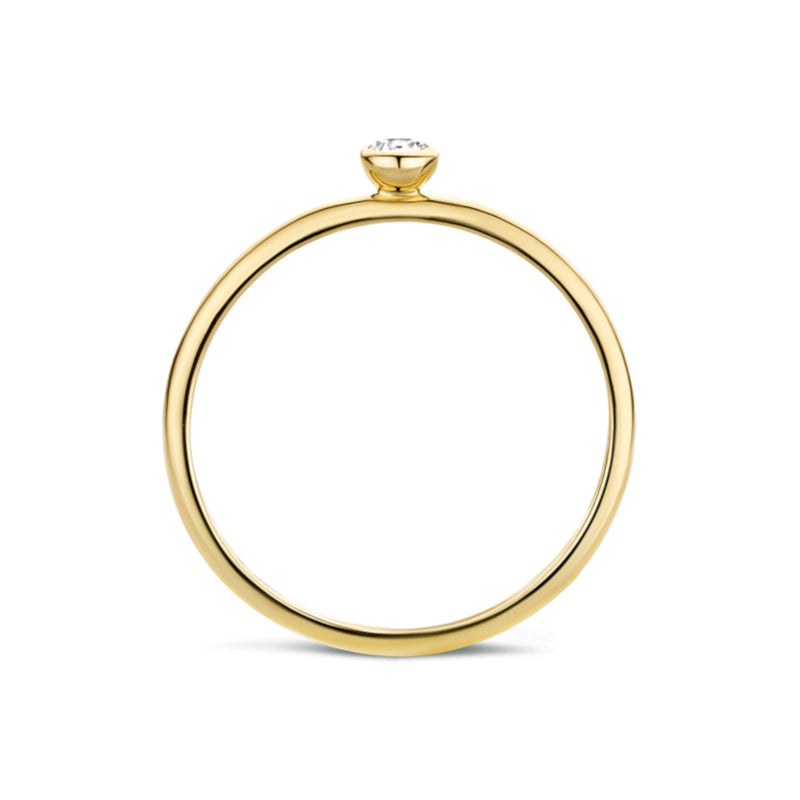 Blush 14 Karaat Gouden Ring1198YZI/46 (Maat: 46)-zoom-