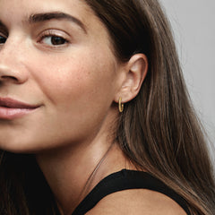 Pandora Moments Earrings 262728C00with14 Carat Gold Plating