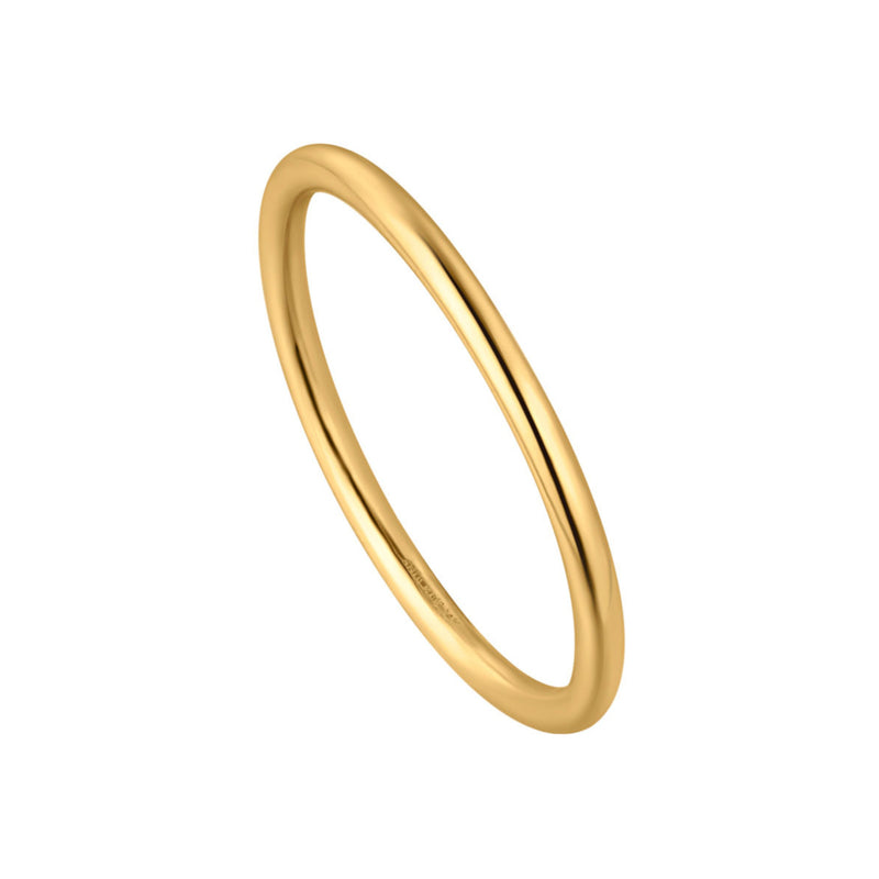 Ania Haie Gold Collection 14 Carat Gold Ring AH-RAU001-06YG-54-zoom-