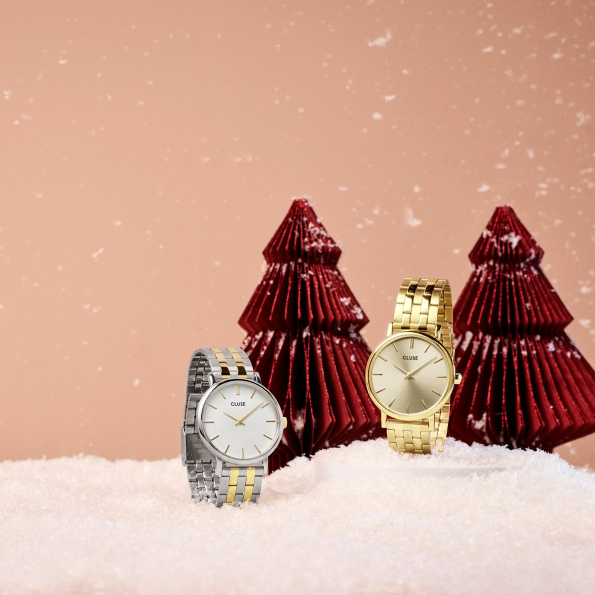 Cluse Women's Watch CW14802