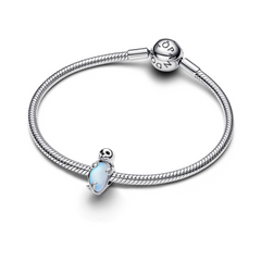 Pandora Moments 925 Sterling Silver Seal Charm 794146C01