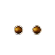 Daniel Wellington Audrey Tiger Eye Oorbellen DW00401409