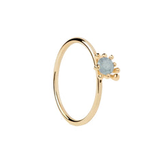 P D Paola Color 925 Sterling Silver Ring with Gold Plating AN01-C93-12