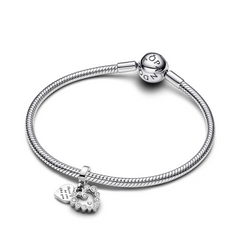 Pandora Moments 925 Sterling Silver Charm 793765C01